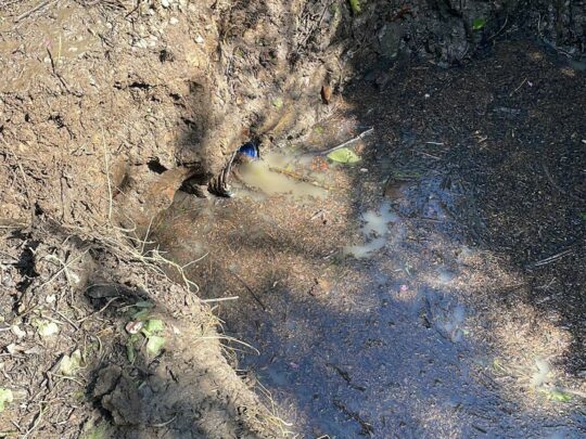 Blocked culvert.